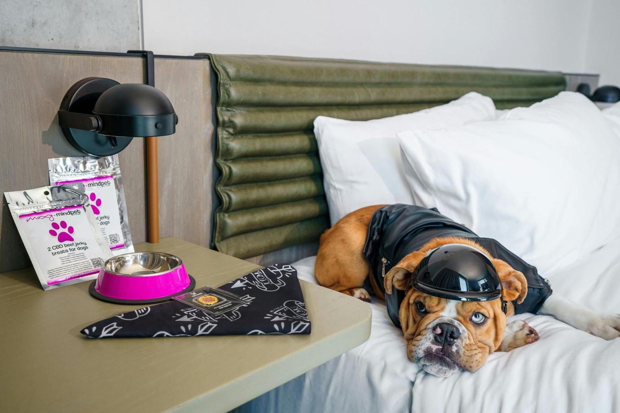 Hotel Moxy Downtown Angeles Los Ángeles